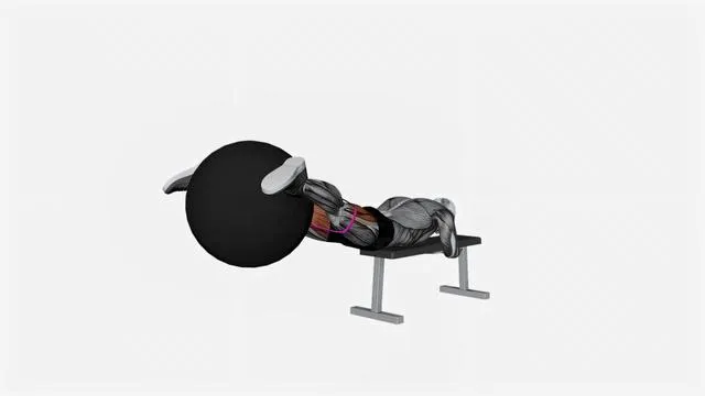 Resistance Band Reverse Hyper with Stability Ball on Flat Bench (2)