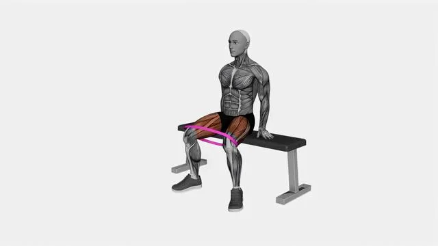 Resistance Band Seated Hip Abduction (2)