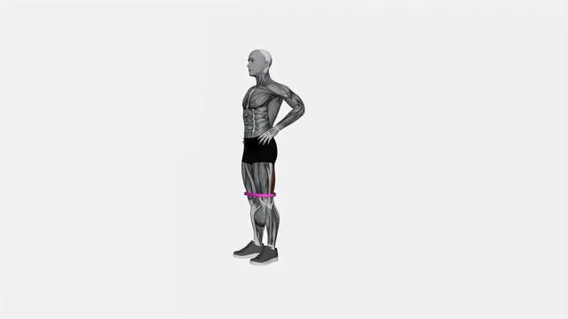 Resistance Band Standing Balance Glute Kickback (3)