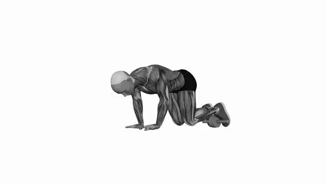 Reverse Ab Wheel Rollout (2)