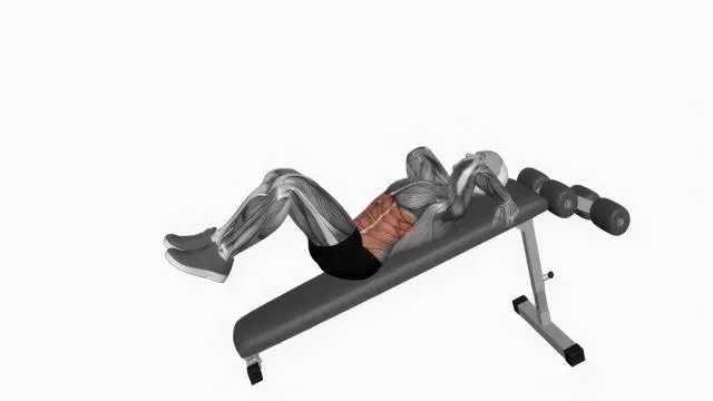 Reverse crunch (5)