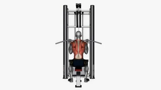 Reverse grip lat pull down (2)