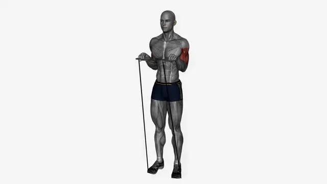 Reverse grip Resistance band simultaneous (2)
