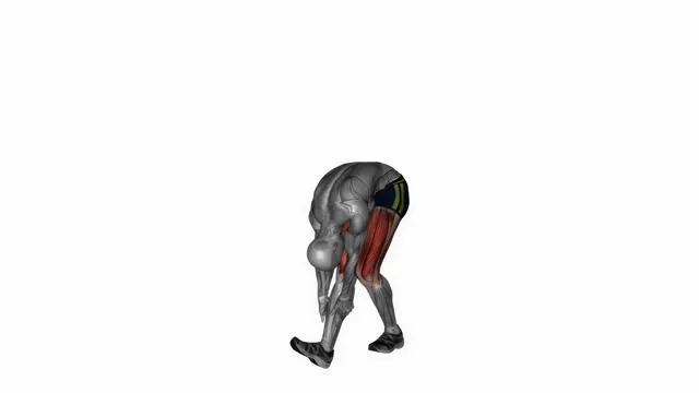 Runner stretch (2)