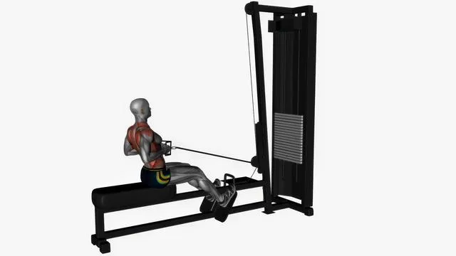 Seated cable row V bar machine (2)