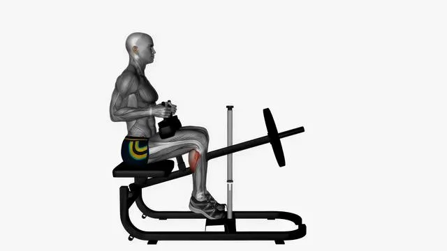 Seated calf machine (2)