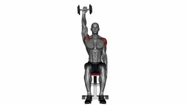 Seated dumbbell one arm shoulder press (2)