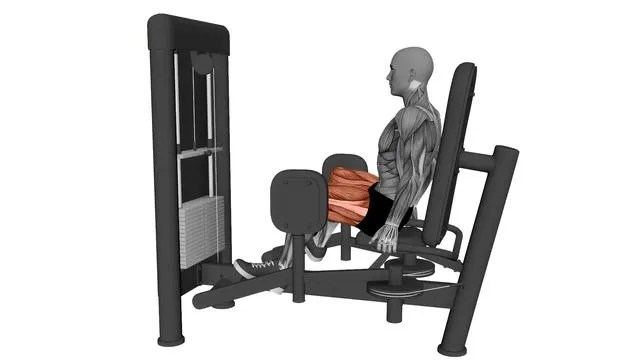 Seated hip abductor machine (2)