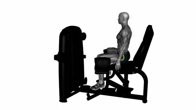 Seated hip abductor machine (3)