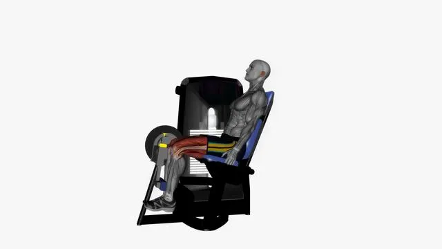 Seated leg curl machine (2)