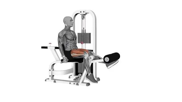 Seated leg extension alternate legs (2)