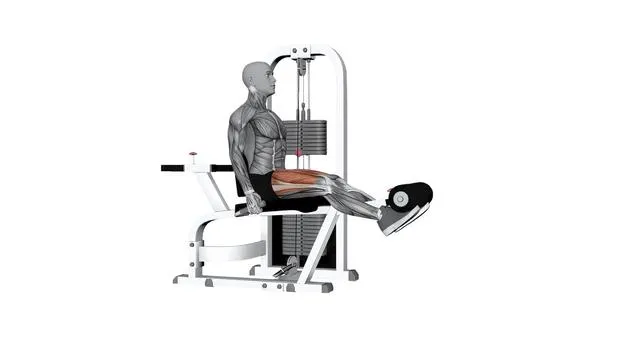Seated leg extension both legs (2)
