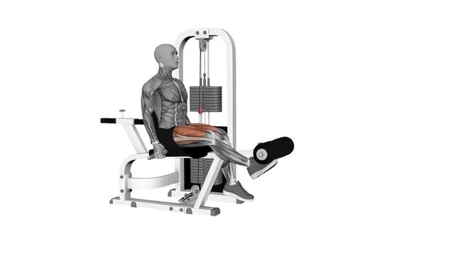 Seated leg extension single leg (2)