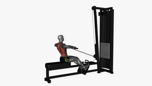 Seated normal grip row machine (2)