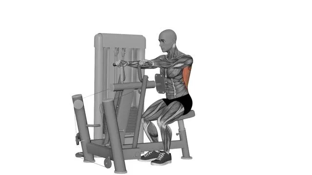Seated Row Machine (1)