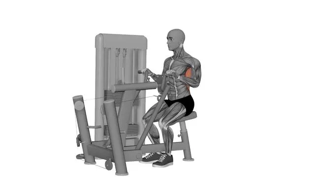 Seated Row Machine (2)