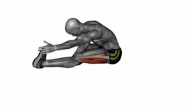 Seated single leg hamstring stretch (2)