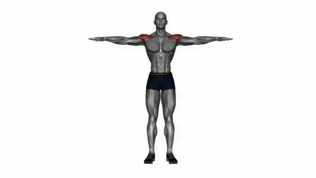Shoulder abduction (2)