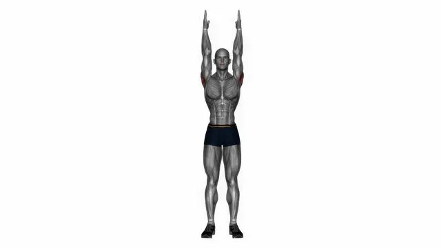 Shoulder extension (2)