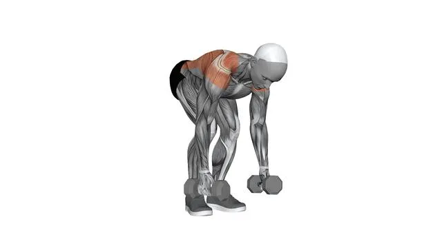 Shoulder extension (3)