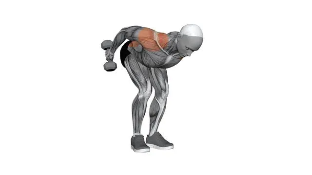 Shoulder extension (4)