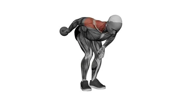 Shoulder extension (6)