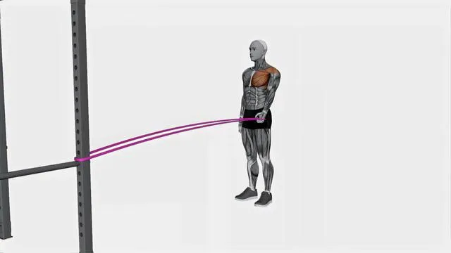 Shoulder extension (7)
