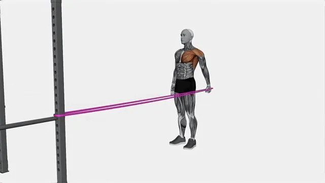 Shoulder extension (8)