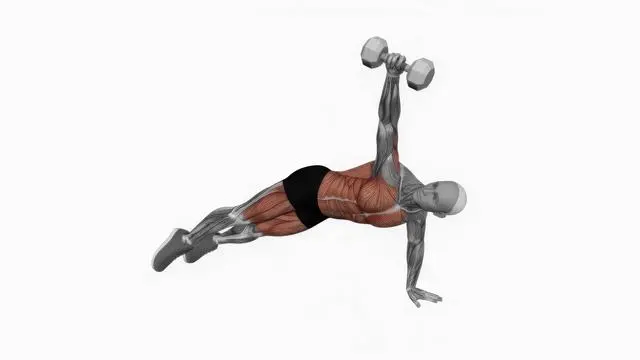Side Plank (14)