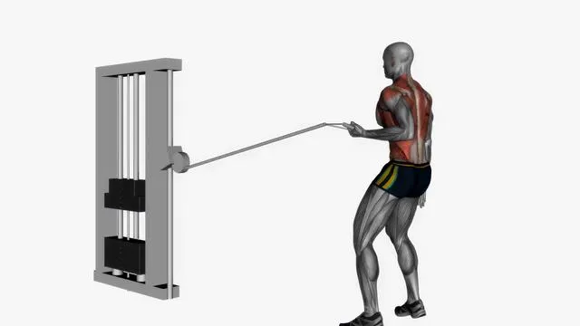 Single arm cable row left (2)