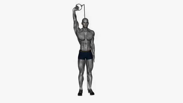 Single arm overhead extension Resistance band (2)
