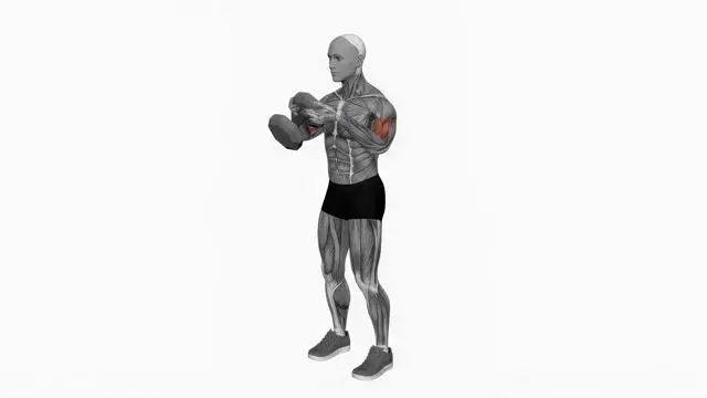 Single Dumbbell Biceps Curls (2)