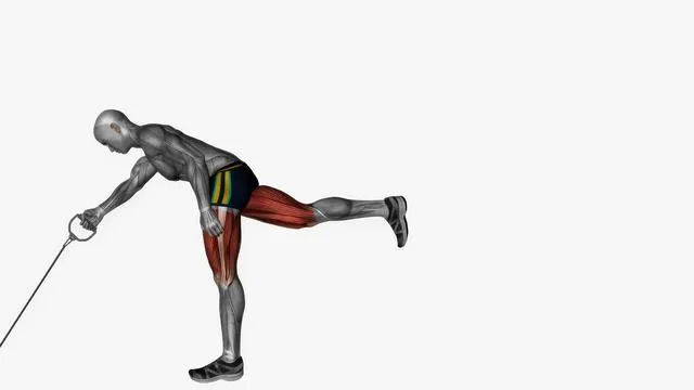 Single leg romanian deadlifts right cable Resistance band (2)