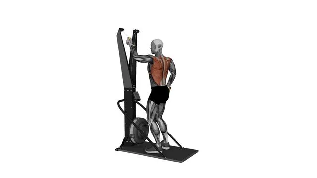 Ski Ergometer Cross Country Ski Alternating Arm Pull (2)