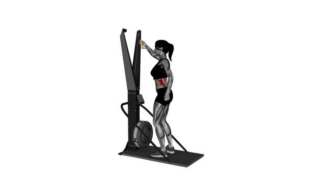Ski Ergometer Cross Country Ski Alternating Arm Pull (3)