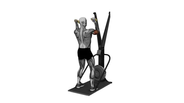 Ski Ergometer Cross Country Ski Face Biceps Curl Pull (2)