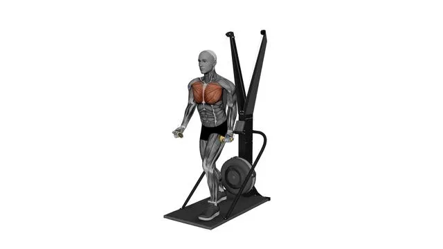 Ski Ergometer Cross Country Ski Flyes (2)