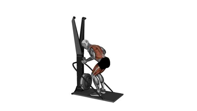 Ski Ergometer Cross Country Ski Jump Squat pull (2)