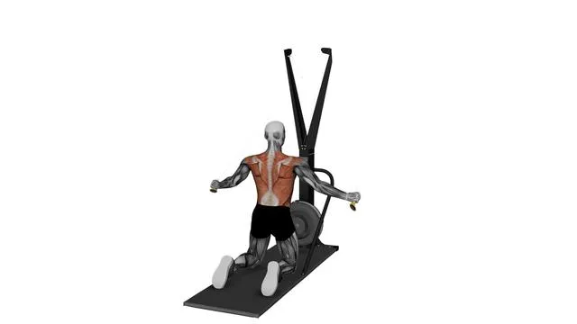 Ski Ergometer Cross Country Ski Kneeling Reverse Fly Pull (2)