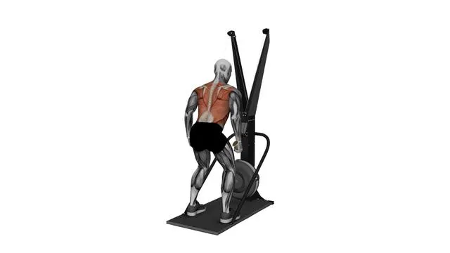 Ski Ergometer Cross Country Ski pullover pull (2)