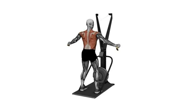 Ski Ergometer Cross Country Ski Reverse Fly Pull (2)