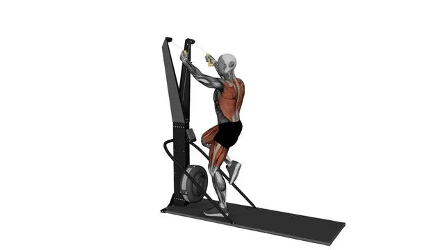 Ski Ergometer Cross Country Ski Reverse Lunge pull (2)