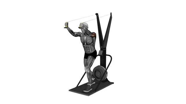Ski Ergometer Cross Country Ski reverse triceps extension pull (2)