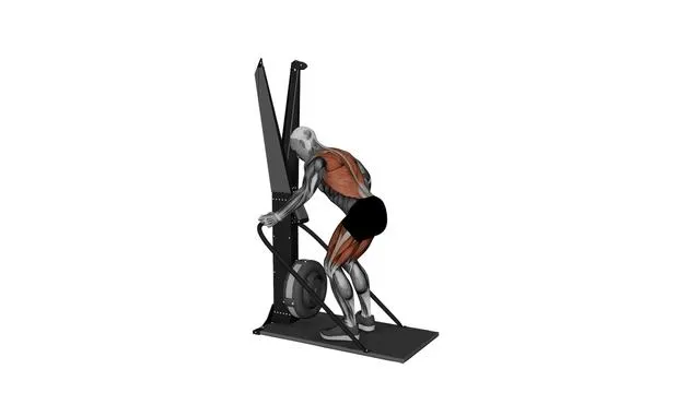 Ski Ergometer Cross Country Ski Squat pull half circles (2)