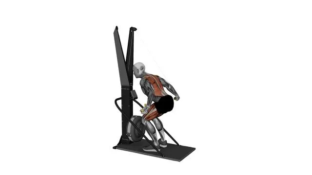 Ski Ergometer Cross Country Ski Squat wide lat pull (2)