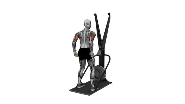 Ski Ergometer Cross Country Ski Triceps extension pull (2)