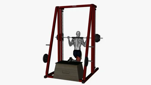 Smith machine bulgarian split squat (2)