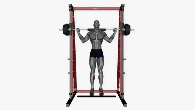 Smith machine calf raise (2)