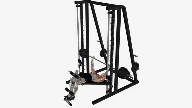 Smith machine press decline (2)
