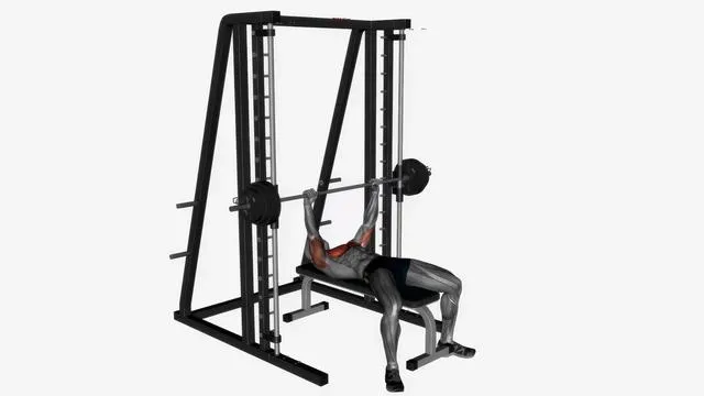 Smith machine press flat (2)